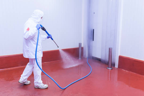 Best Paint Preparation  in Springhill, LA
