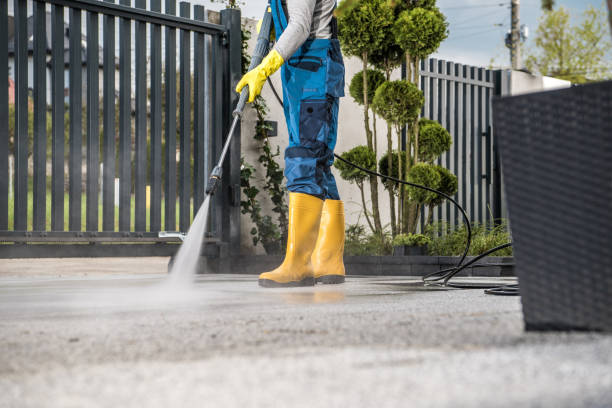 Best Solar Panel Cleaning  in Springhill, LA